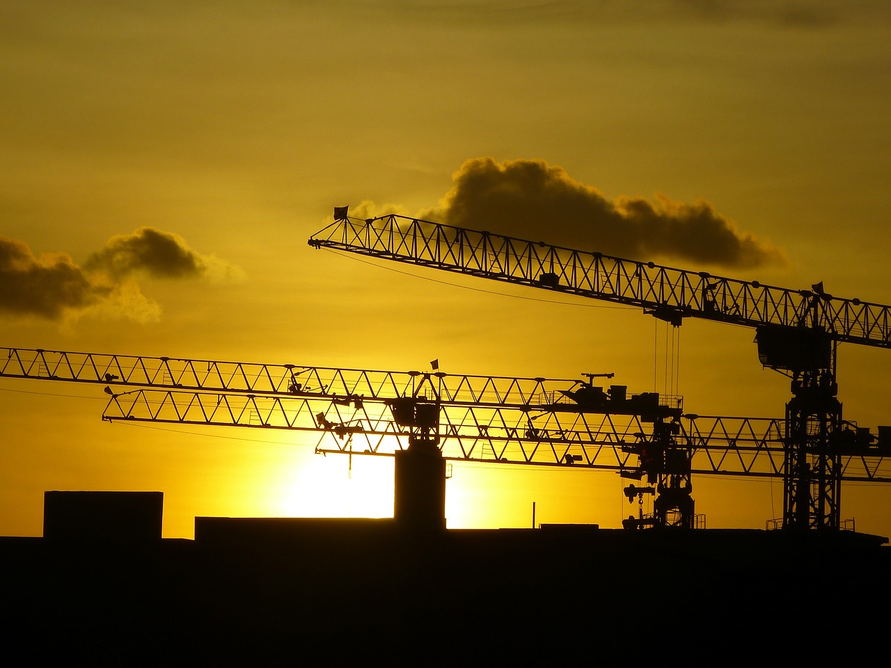 Cranes under a sunset sky